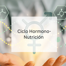 ciclo hormono tutricion