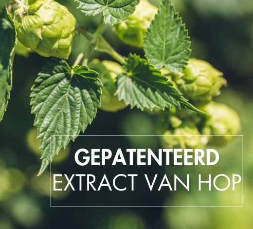 GEPATENTEERD EXTRACT van hop