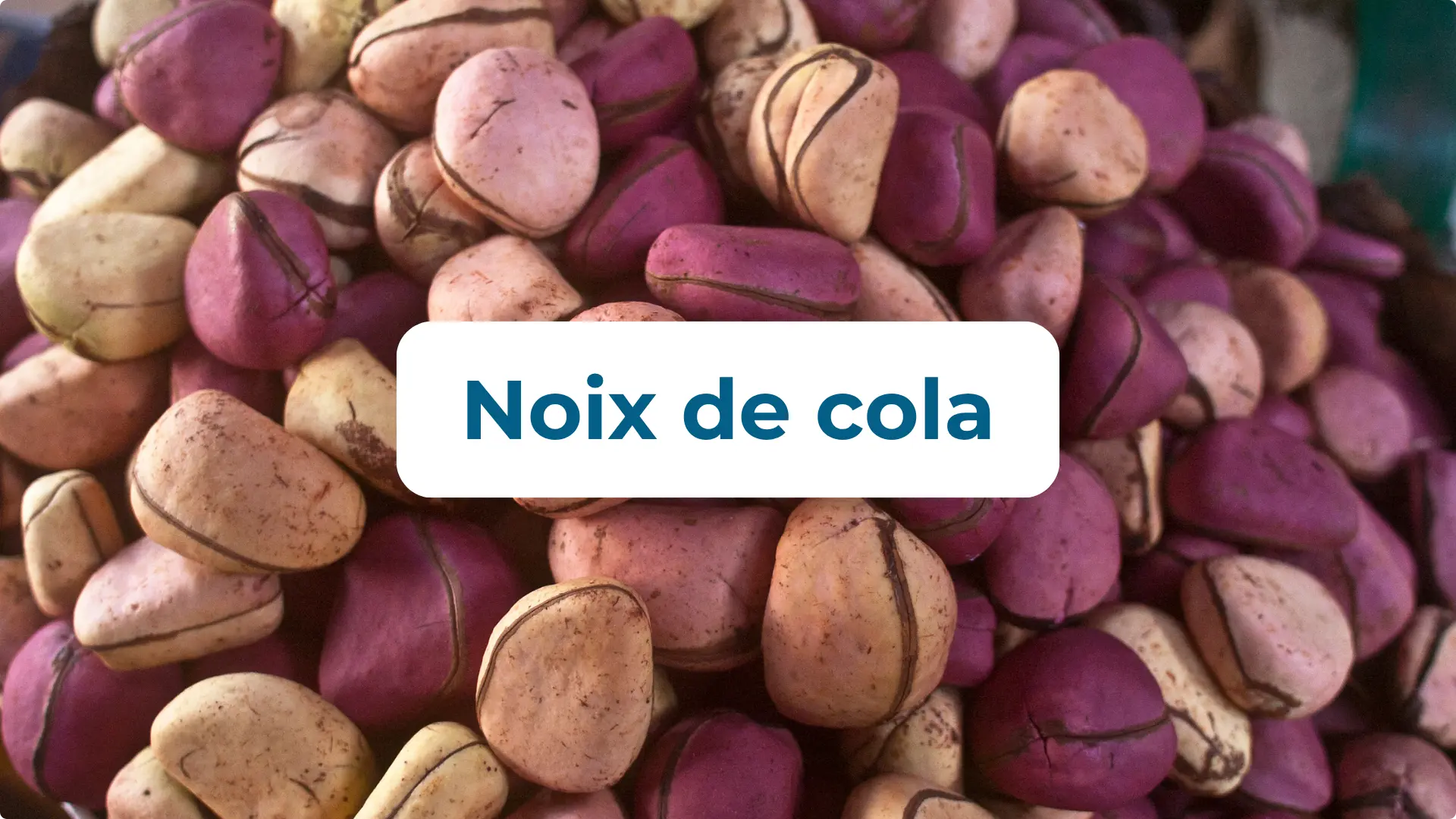 Noix de cola bénéfices