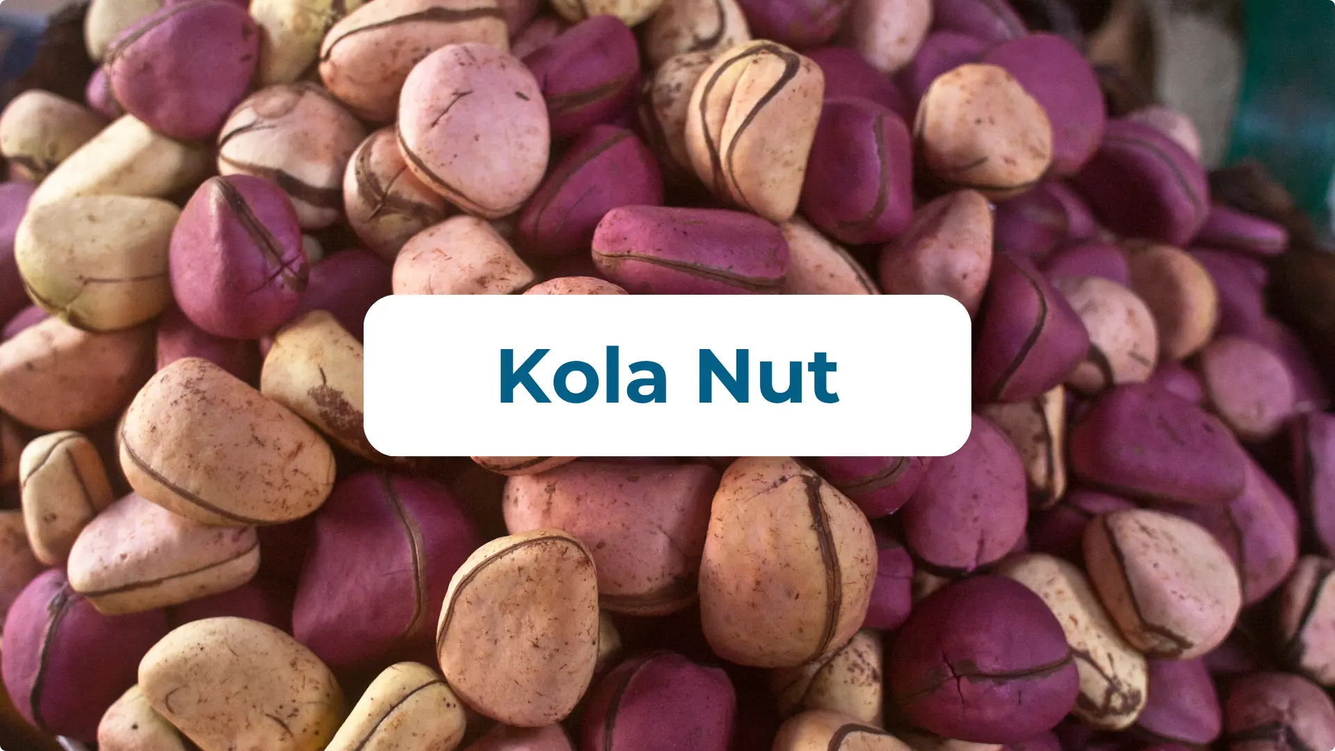 Kolanuss Vorteile