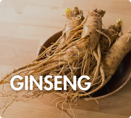 Ginseng