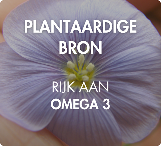 plantaardige bron, rijk aan omega 3