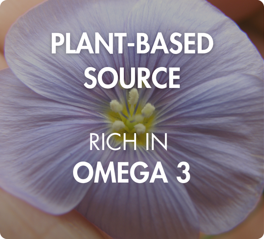 pflanzliche Quelle, reich an Omega 3