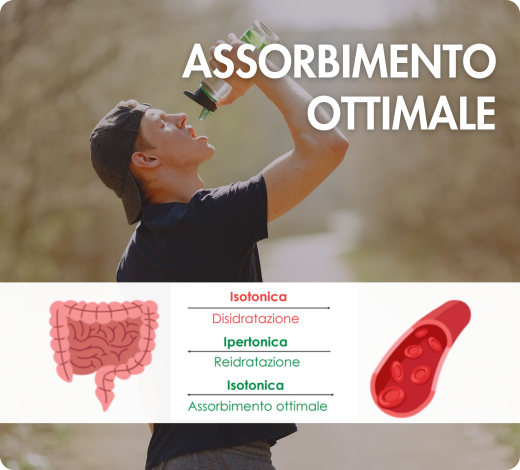 complesso micronutrizionale vitamine B9, B12 e cromo