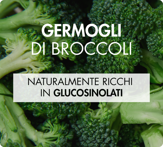 DIM derivato da giovani germogli di broccoli