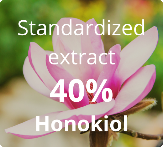 Magnolienextrakt auf 40 % Honokiol titriert – hoher Gehalt an natürlichen Wirkstoffen