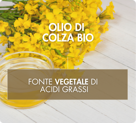 Huile de colza source omega