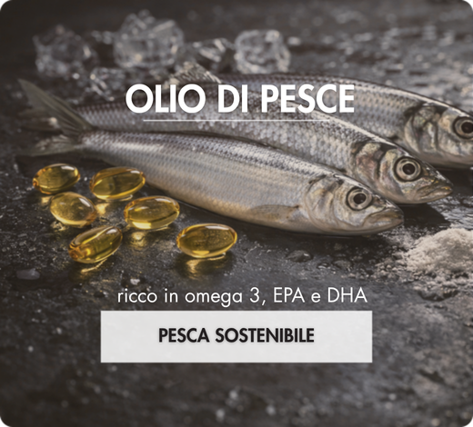 Oli di pesce pesca eco responsabile