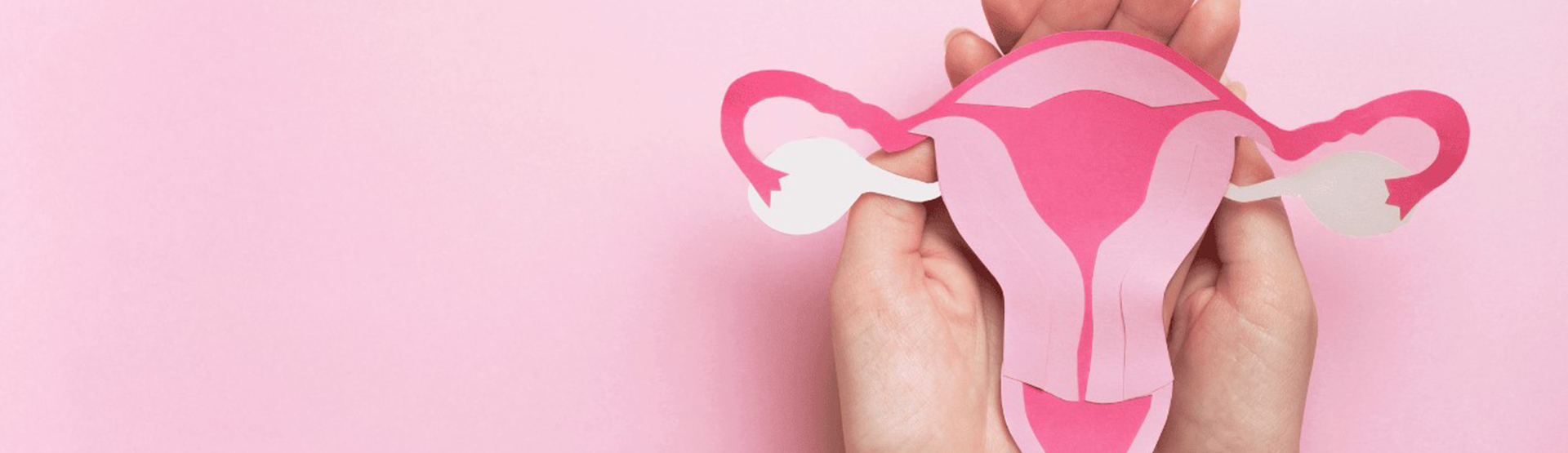 Formación certificada en ginecología integrativa