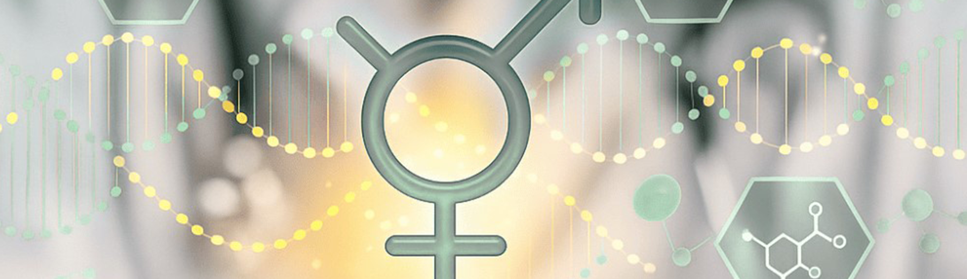 Formación certificada en hormono-nutrición