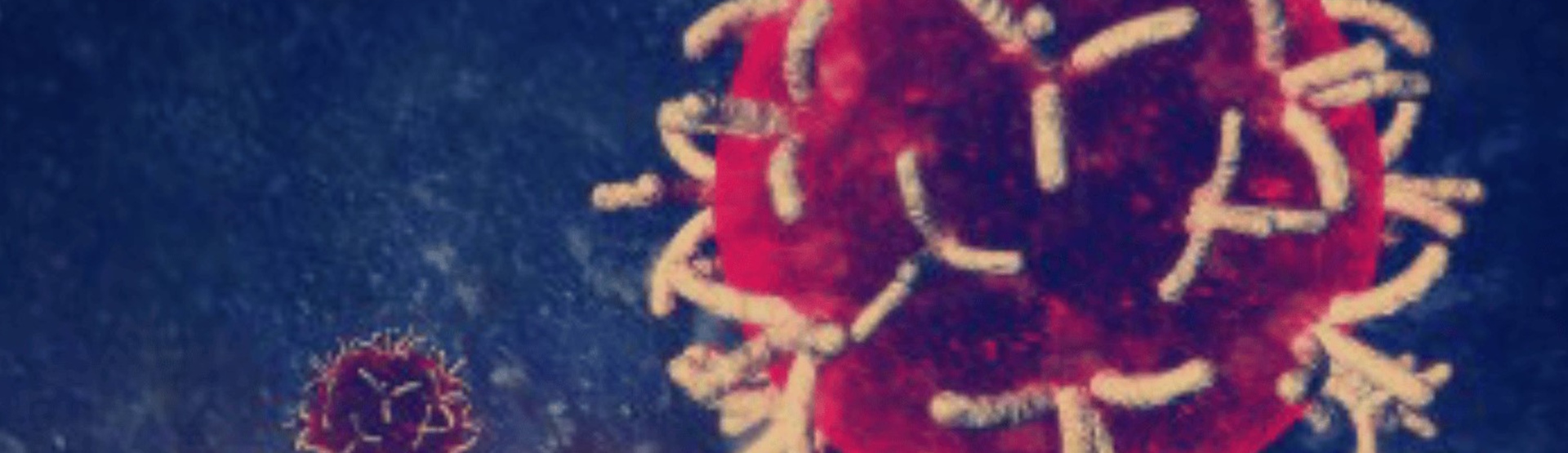 Formación certificada en oncología integrativa