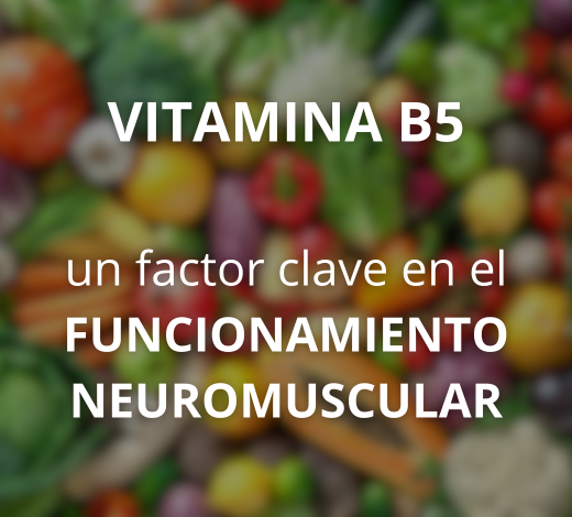 biodisponibilité optimale coenzymée picolinate