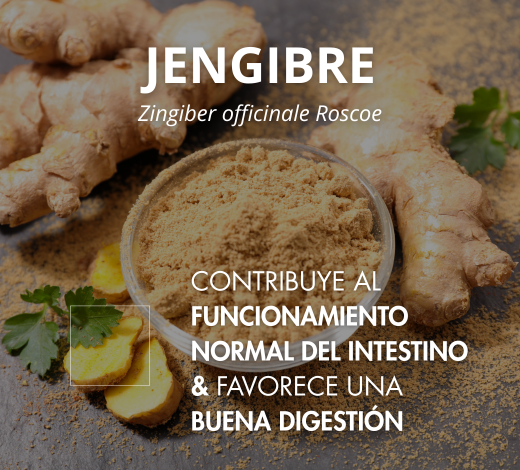 association synergique myo inositol d-chiro inositol