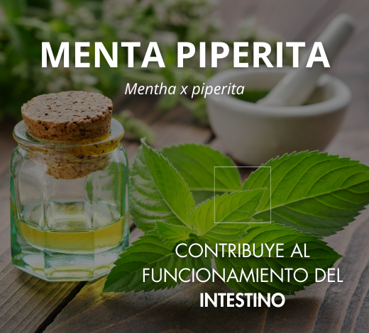 biodisponibilité optimale coenzymée picolinate