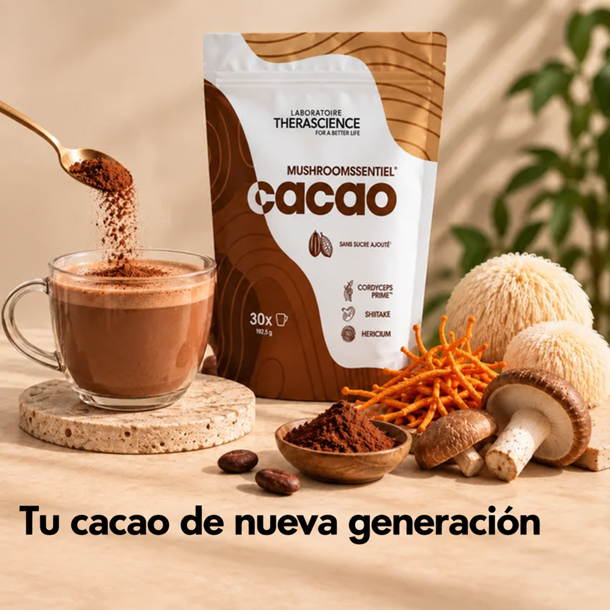 Boisson cacao
