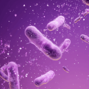 Bactéries intestinales à l'intérieur du colon