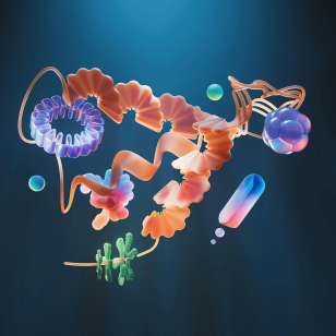 Composition du microbiote intestinal et du système digestif