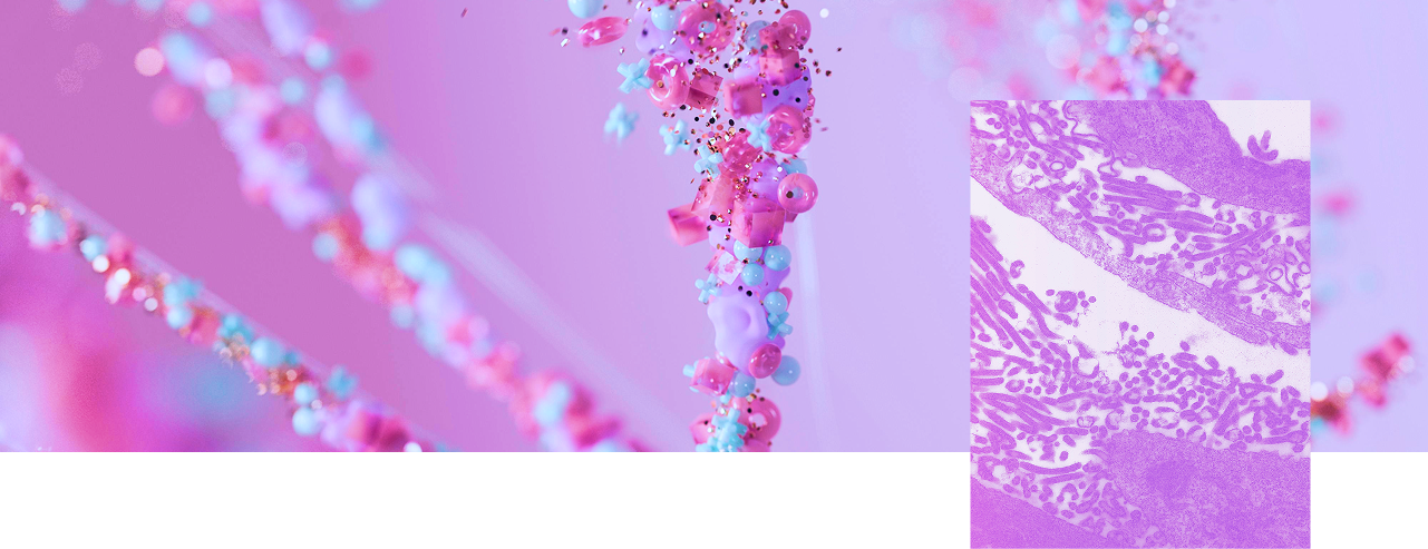 Microbiote intestinal et muqueuse digestive liée au butyrate