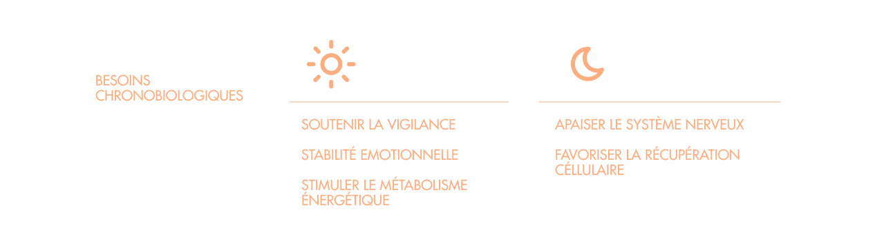 besoins chronobiologiques d'une femme menopausée