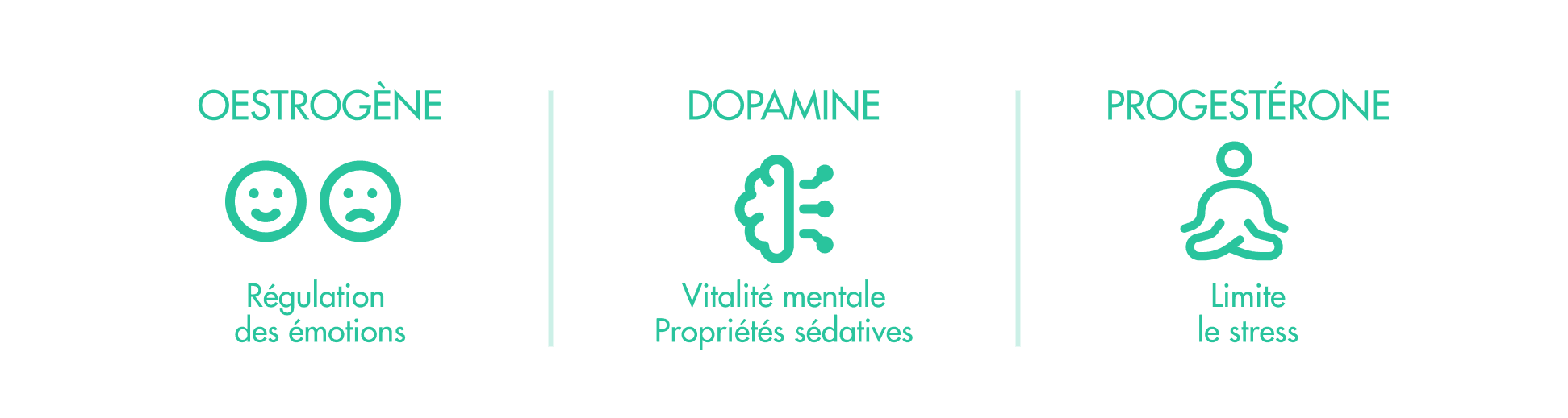 Infographie sur les effets des œstrogènes, de la dopamine et de la progestérone pendant la ménopause