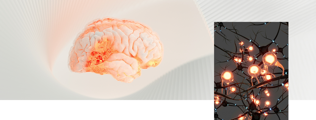 Cerveau féminin et réseau neuronal illustrant les effets hormonaux de la ménopause sur l’équilibre émotionnel et cognitif