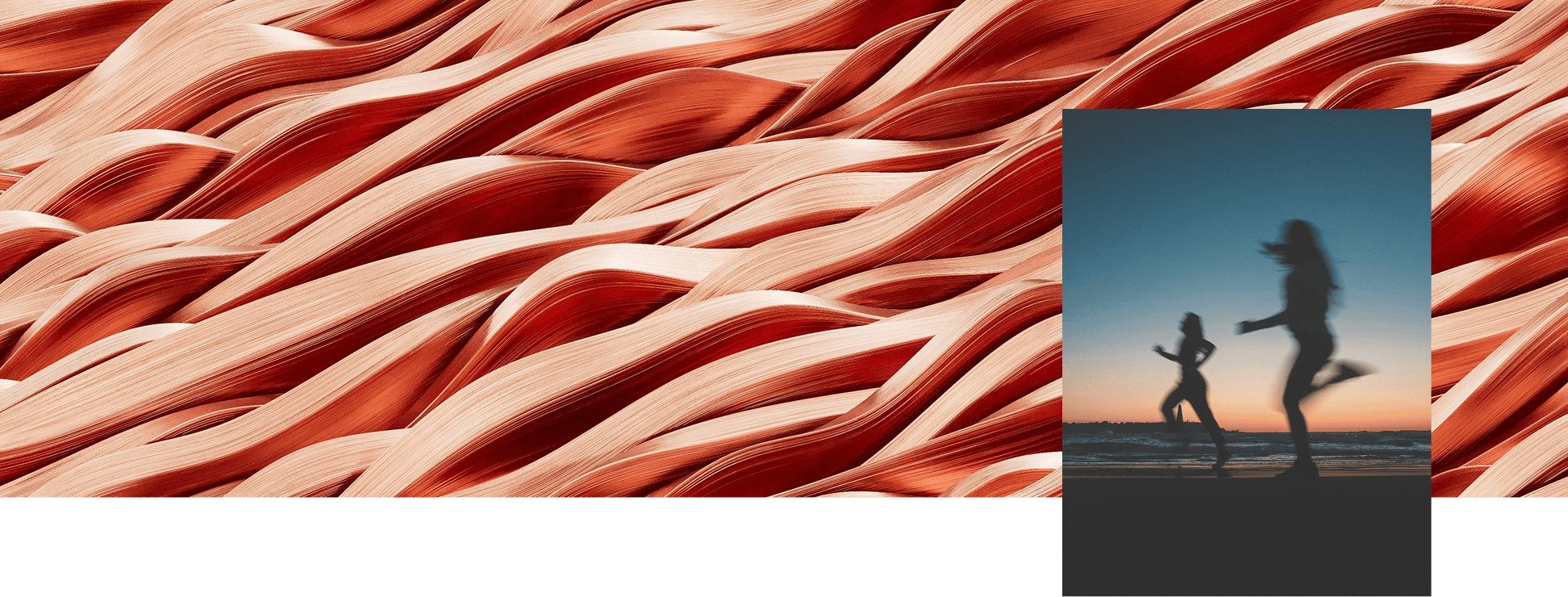 Fibres musculaires et silhouettes en mouvement associées au métabolisme énergétique