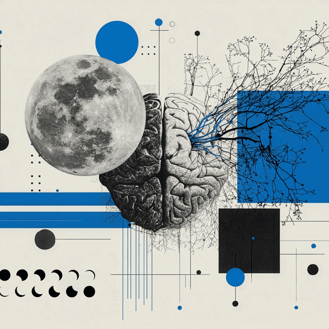 Rythme circadien et mélatonine évoqués par la lune et les lumières de la nuit