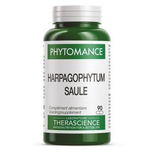 Harpagophytum-Saule