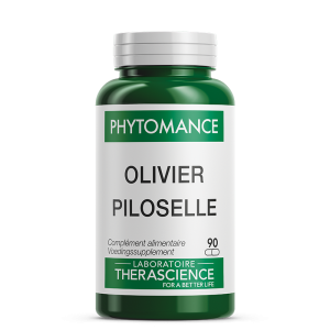 Olivier - Piloselle