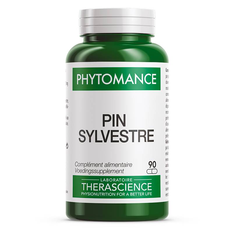 Pin sylvestre