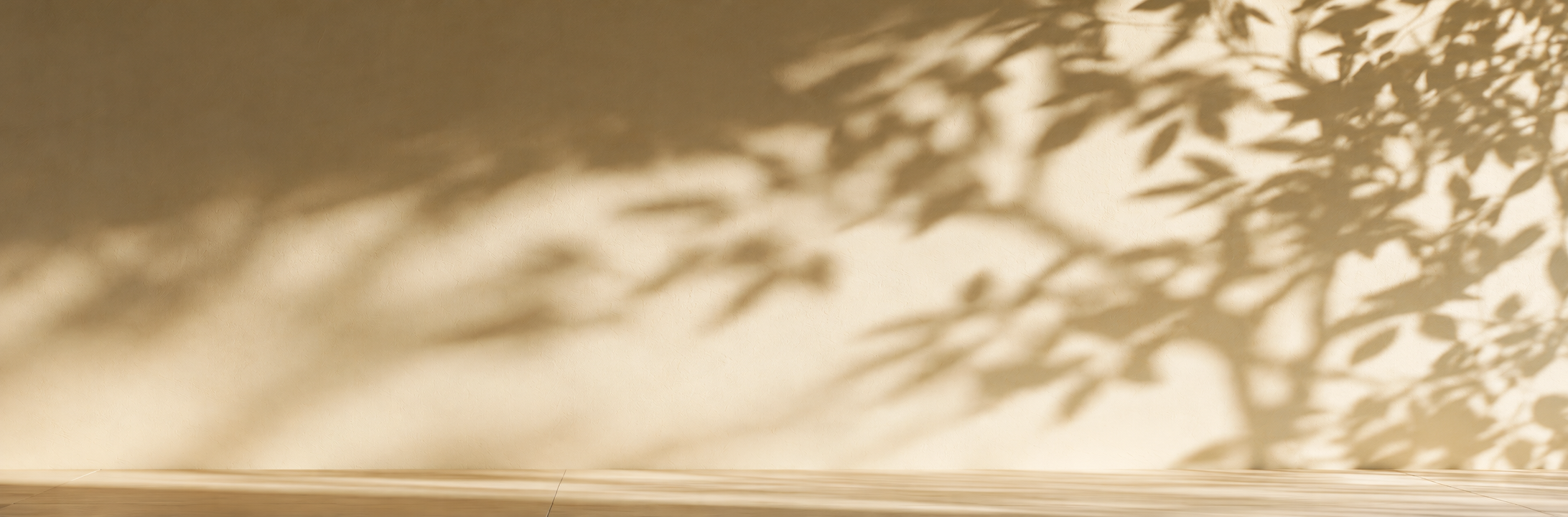 Jeu de lumière et d'ombres de feuillage sur un mur, ambiance douce et apaisante, visuel de clôture de l'article sur la vitamine D, Therascience