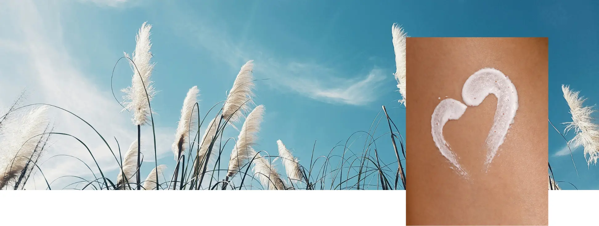 Plantes naturelles et soin appliqué sur la peau illustrant le renforcement de la barrière cutanée grâce au zinc, sélénium et magnésium