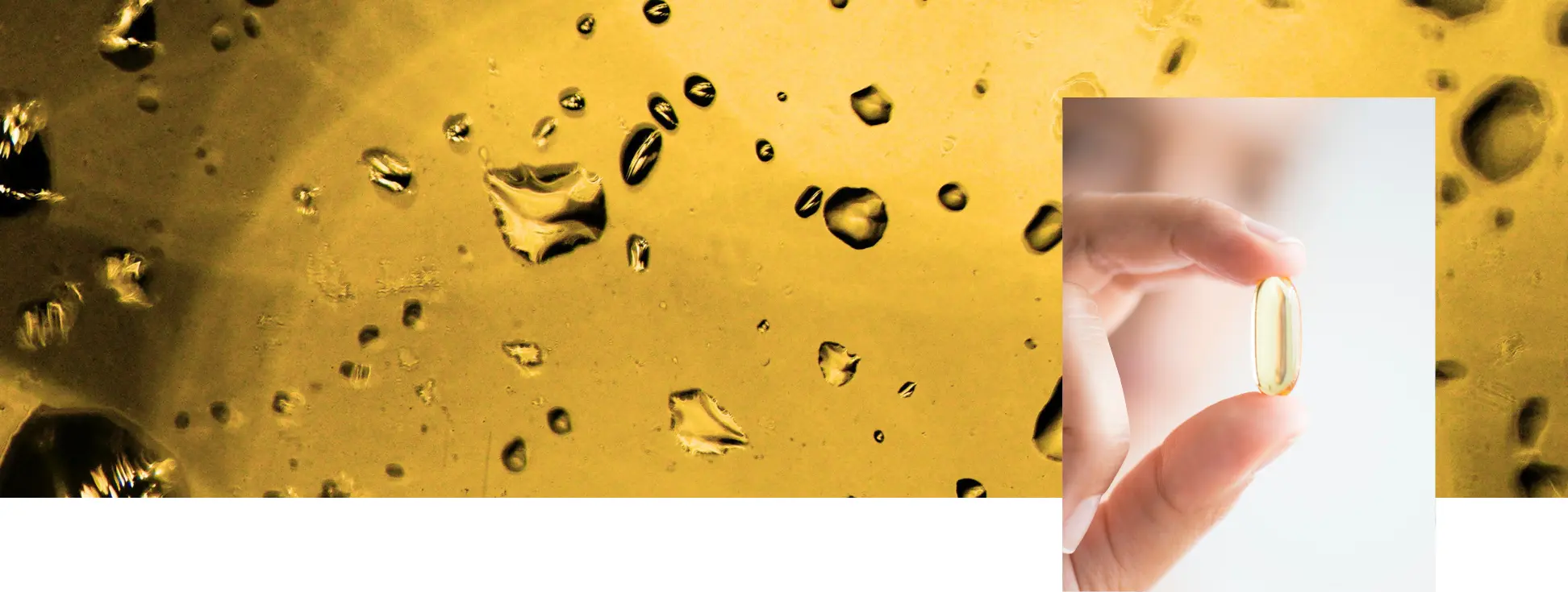 Main tenant une capsule d'oméga-3 devant une huile dorée pure, symbolisant la biodisponibilité optimale et la formulation experte en EPA et DHA 