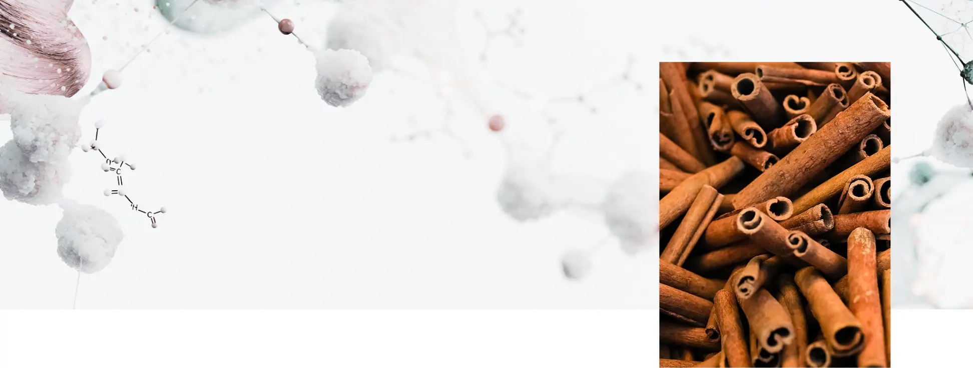 Bâtons de cannelle sur fond de structures moléculaires, illustrant l'effet des polyphénols sur le métabolisme du glucose