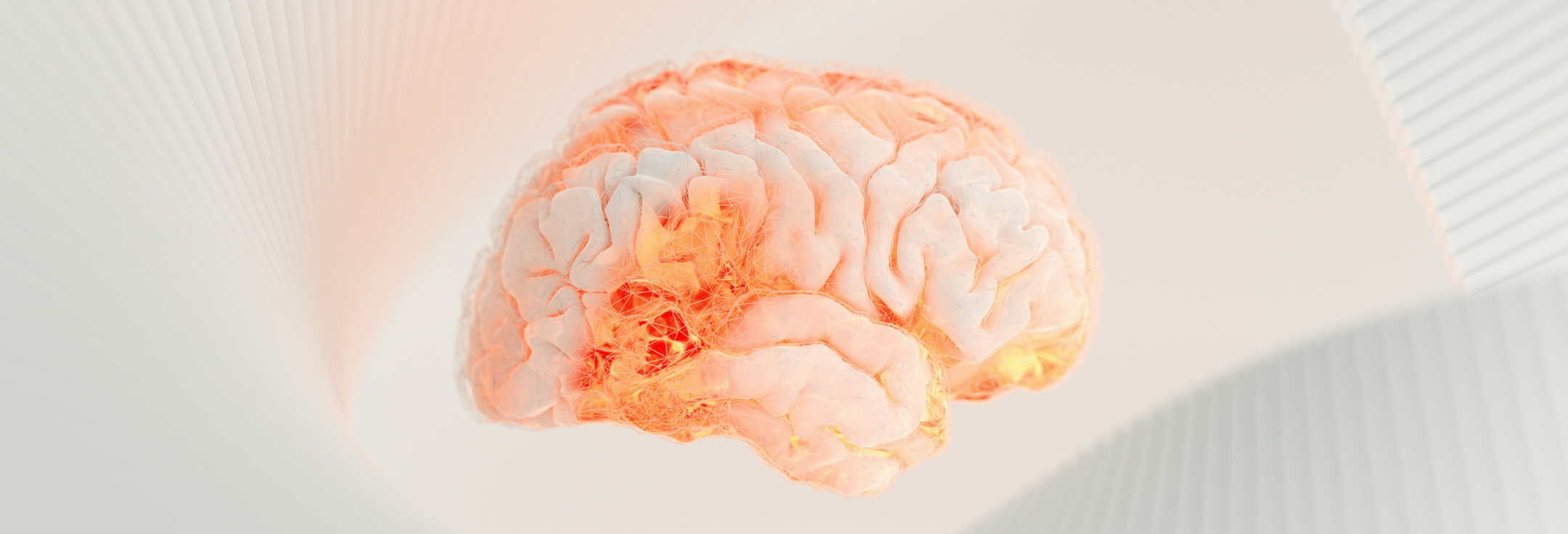  Illustration d'un cerveau en surbrillance, symbole de l'impact du microbiote sur le fonctionnement cérébral