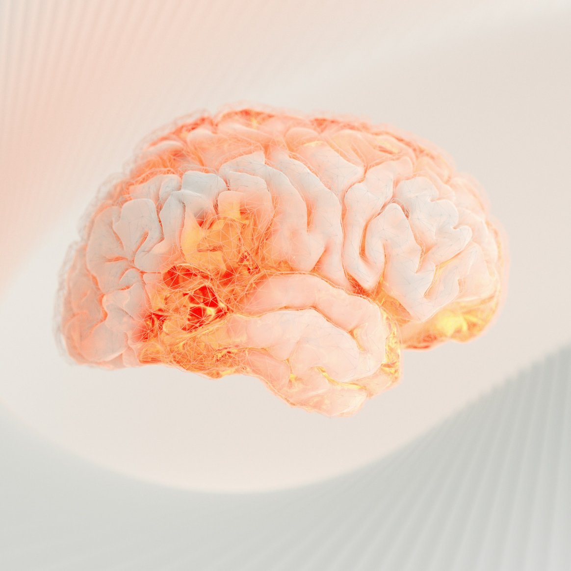  Illustration d'un cerveau en surbrillance, symbole de l'impact du microbiote sur le fonctionnement cérébral