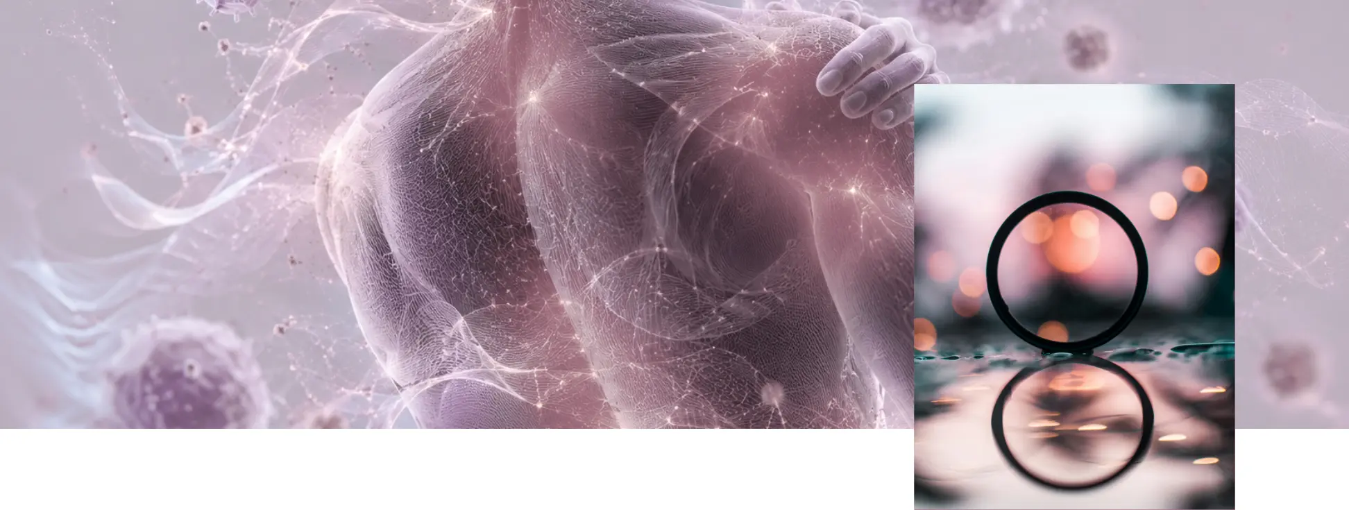 Représentation du corps humain et de son réseau de communication entre tissu adipeux, foie, muscles et système immunitaire dans l'inflammation chronique