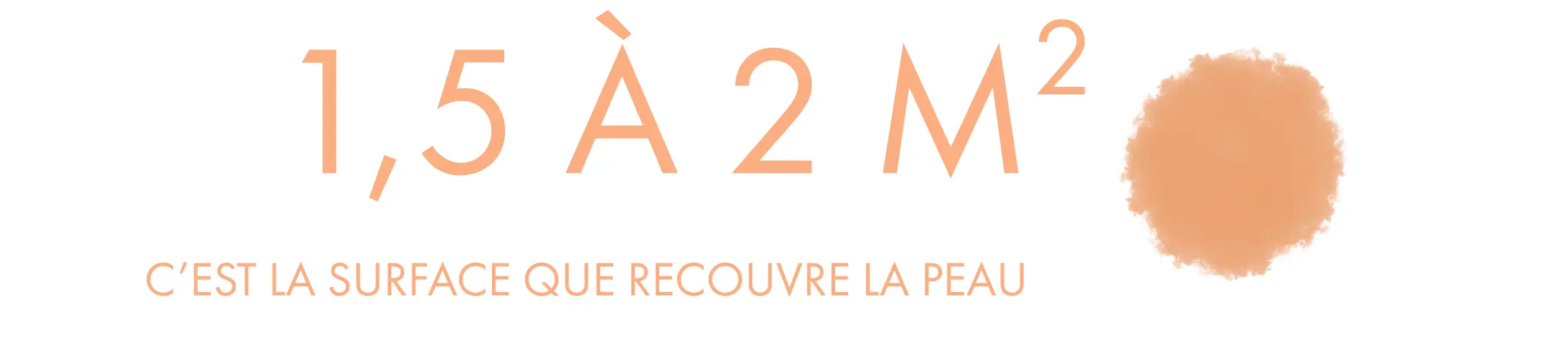  Infographie : le collagène de type I est le collagène le plus abondant de l'organisme