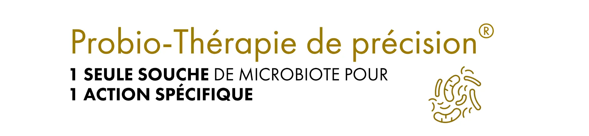 Silhouette du corps humain illustrant la communication entre microbiote intestinal, bactéries et système nerveux