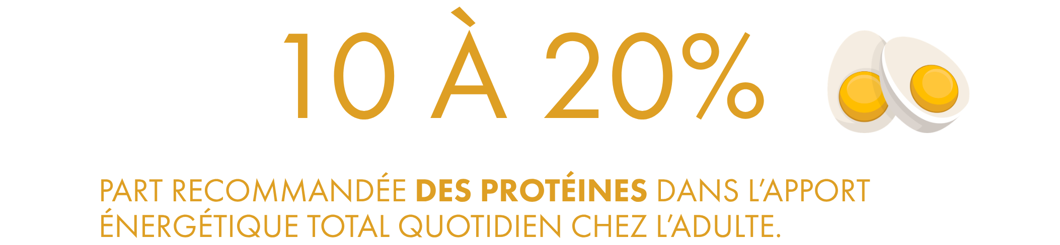 Infographie Therascience indiquant que les protéines doivent représenter 10 à 20% de l'apport énergétique total quotidien chez l'adulte, illustrée par deux œufs symbolisant la source de protéines naturelles.