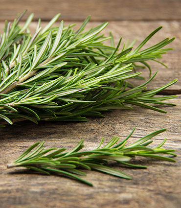 Rosemary - ARTiculations