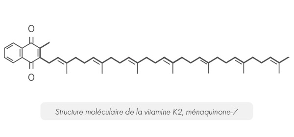 Vitamine K2