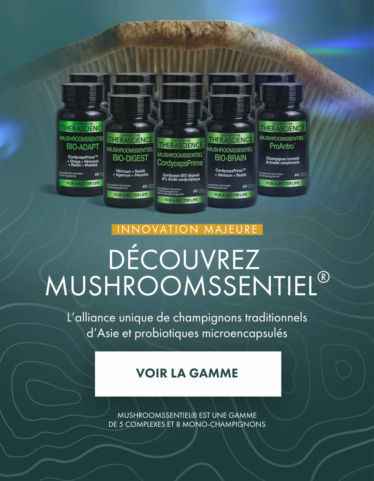 Mycothérapie