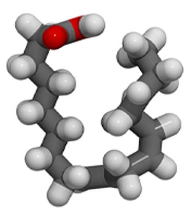 schéma Acide alpha-linoléique