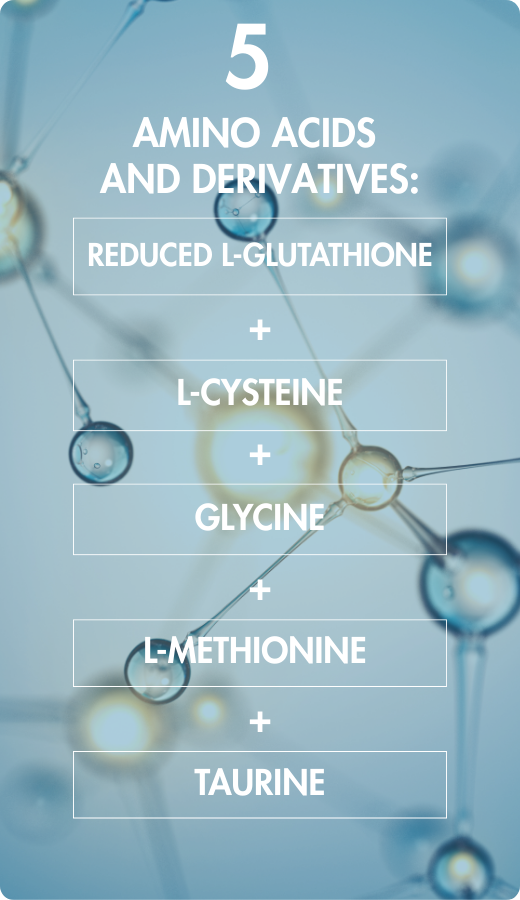 biodisponibilité optimale grâce à des acides aminés choisis dans leur forme la plus biodisponible