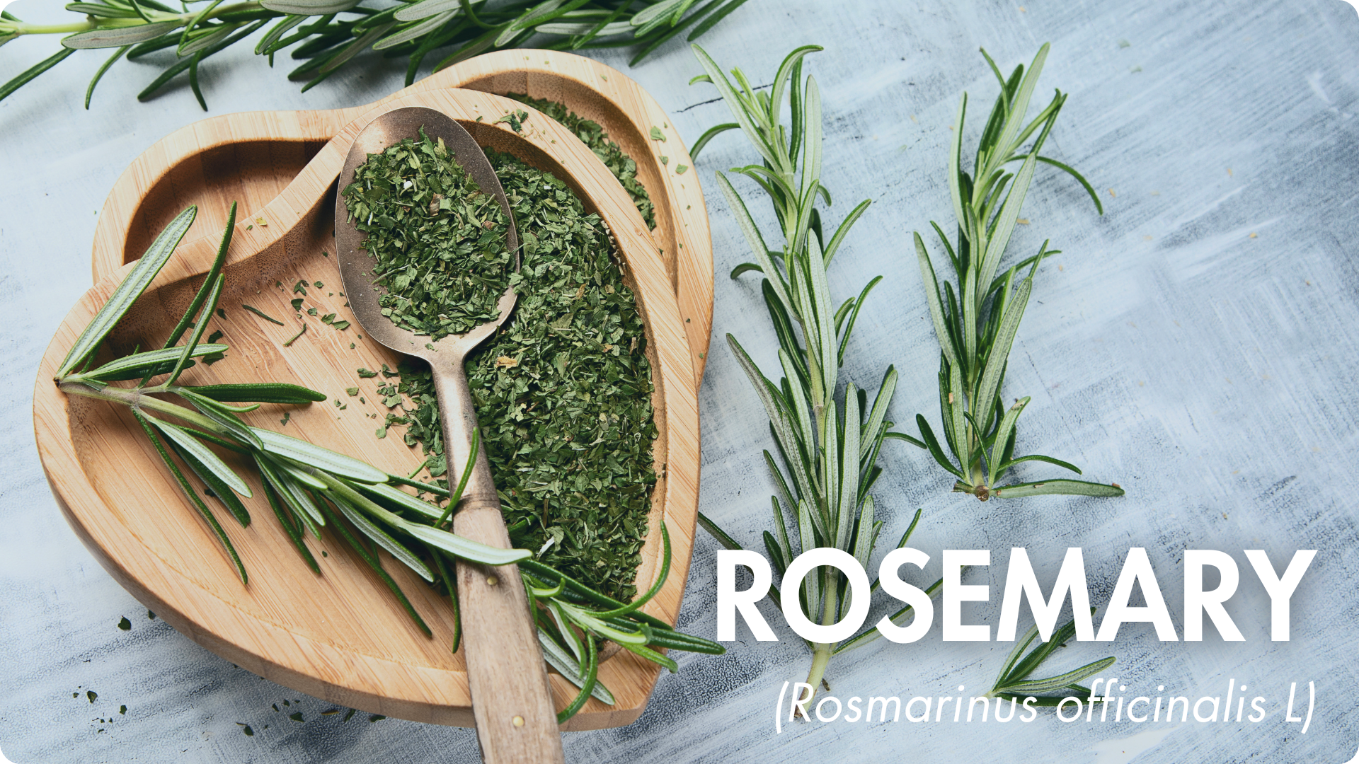 3 Aminosäurederivate für eine synergetische Kombination