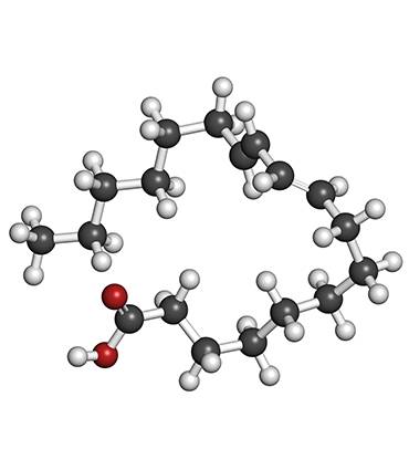 schéma Acide Linoléique Conjugué (CLA)