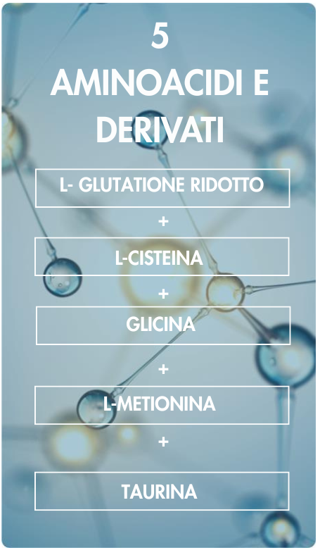 biodisponibilité optimale grâce à des acides aminés choisis dans leur forme la plus biodisponible