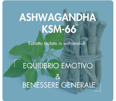 association synergique myo inositol d-chiro inositol