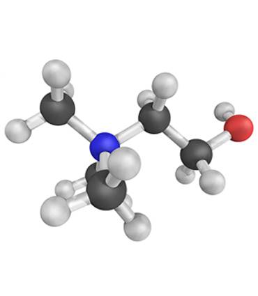 schéma Choline